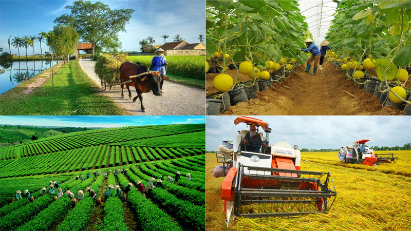 Ngành nông nghiệp 2025: Khẳng định vai trò trụ đỡ, điểm tựa của nền kinh tế